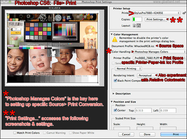 PHOTOSHOP MANAGES COLORS