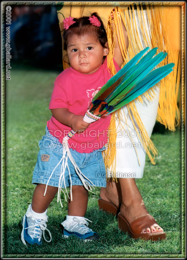 NATIVE AMERICAN INDIAN FEATHERS Photo...