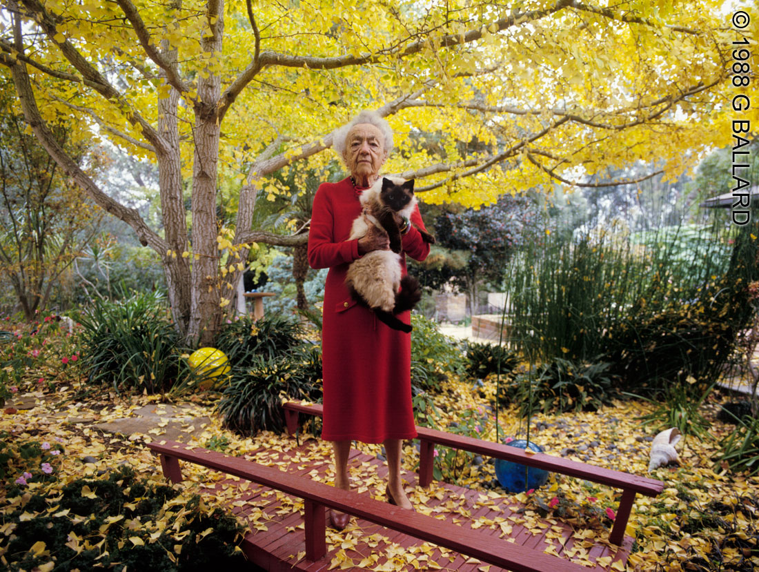 GINKO TREE PICTURE Old Lady Holding Cat