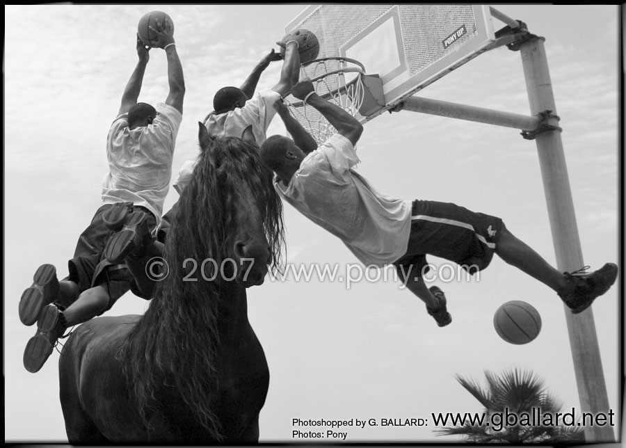 Loading Extreme Hardcore Basketball Sports Photos, Man Jumping Over Horse Dunking Basketball Picture ...
