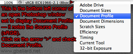 WHAT DOCUMENT PROFILE IS PHOTOSHOP USING?