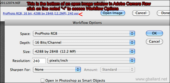 camera raw plugin cs6 mac